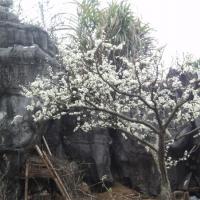 /photo/646506/我的相片/psb (13)_1_5_small.jpg